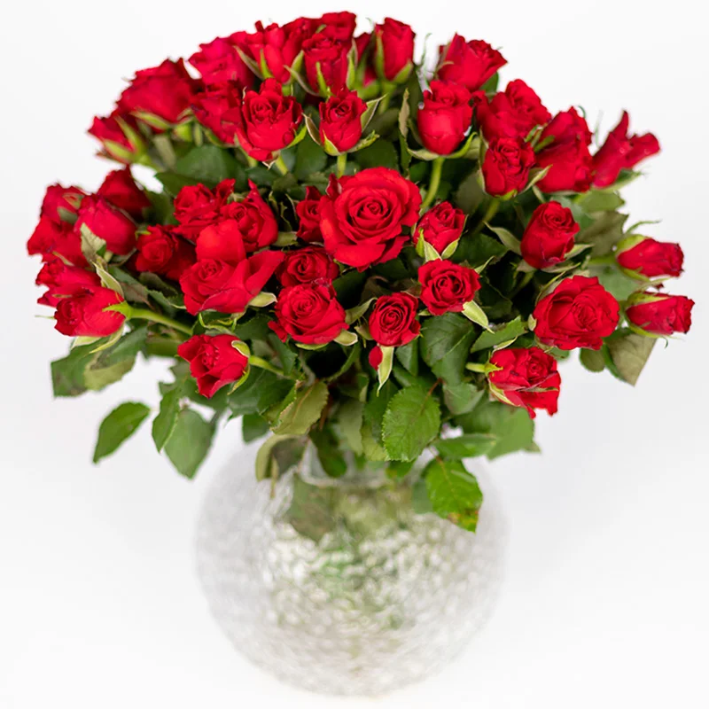 Valentinstagsstrauß mit roten Rosen